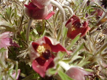 f:id:michimasa1937:20090411112541j:image:right