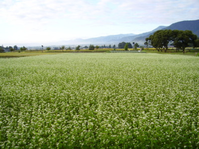 f:id:michimasa1937:20090914065708j:image