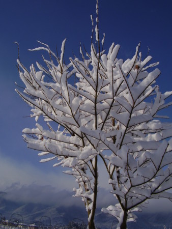 f:id:michimasa1937:20100202092902j:image:w360:right