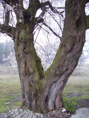 f:id:michimasa1937:20100418065534j:image