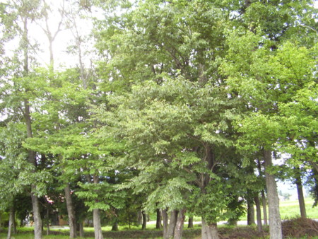 f:id:michimasa1937:20110901103459j:image