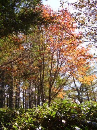 f:id:michimasa1937:20111009070125j:image:left