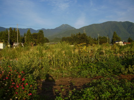 f:id:michimasa1937:20120904192827j:image:left