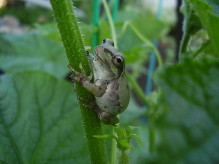 f:id:michimasa1937:20120904195759j:image:w360