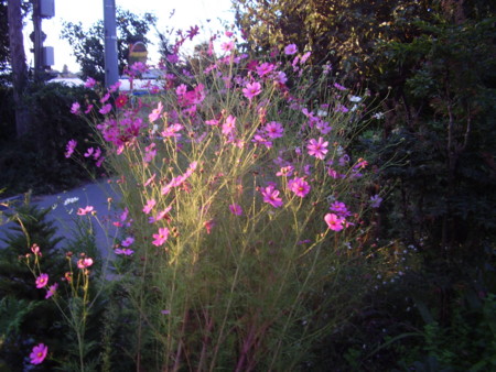 f:id:michimasa1937:20120926191747j:image:left