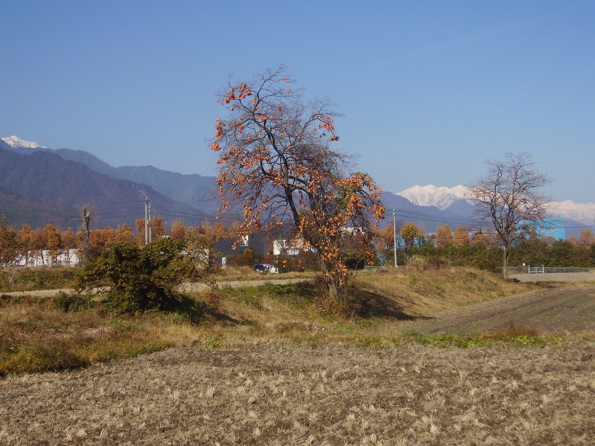 f:id:michimasa1937:20121125004354j:plain