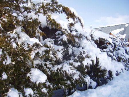 f:id:michimasa1937:20130114231106j:image:left