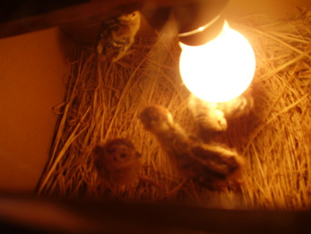 f:id:michimasa1937:20130622115146j:image:right f:id:michimasa1937:20130622115146j:image:right