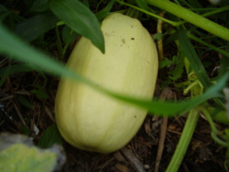 f:id:michimasa1937:20130731203759j:image:right