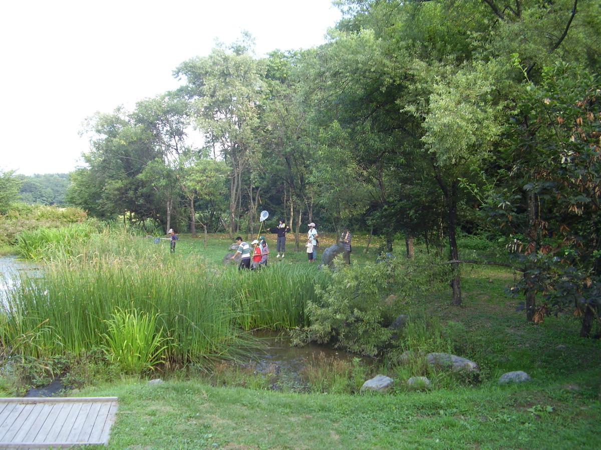 f:id:michimasa1937:20130817183618j:plain