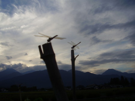 f:id:michimasa1937:20130927192310j:image:w360 f:id:michimasa1937:20130927192310j:image:w360