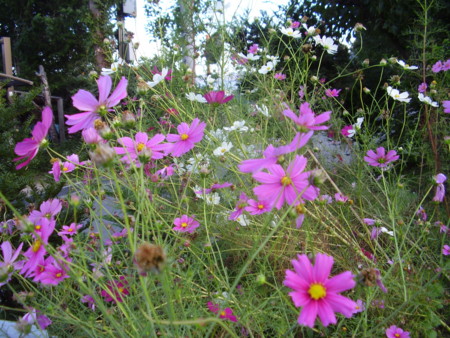 f:id:michimasa1937:20130927193346j:image:right