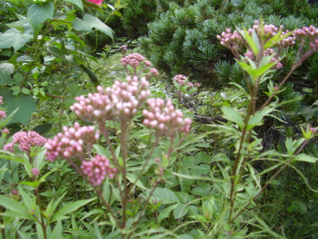 f:id:michimasa1937:20130927193450j:image:right