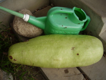 f:id:michimasa1937:20130927193902j:image:w360:right