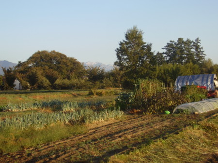 f:id:michimasa1937:20131012091429j:image:w360