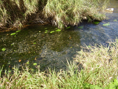 f:id:michimasa1937:20131103031625j:image:w360