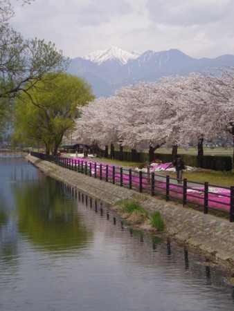 f:id:michimasa1937:20140409224100j:image:w360:left