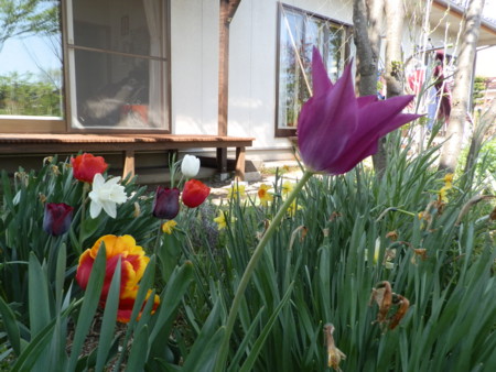 f:id:michimasa1937:20140502144147j:image:w360:left