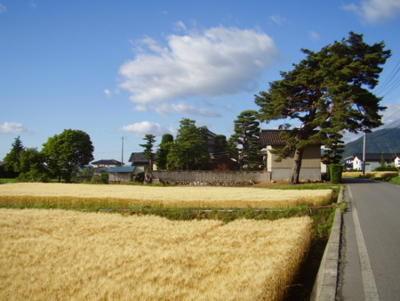 f:id:michimasa1937:20140529090436j:image:w360