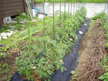 f:id:michimasa1937:20140529112910j:image:w360:right f:id:michimasa1937:20140529112910j:image:w360:right