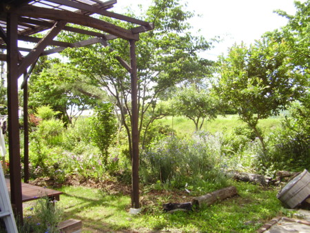 f:id:michimasa1937:20140529112938j:image:w360:left