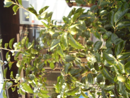 f:id:michimasa1937:20140906024443j:image:w360