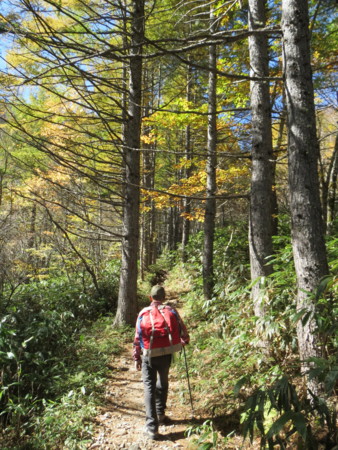 f:id:michimasa1937:20141018105126j:image:w360:right