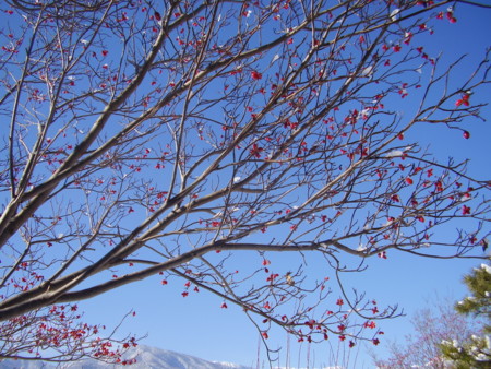 f:id:michimasa1937:20141201201134j:image:w360:left