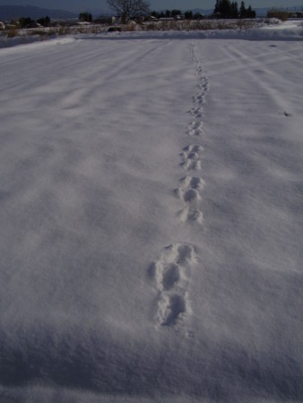 f:id:michimasa1937:20150116013259j:image:w360:right