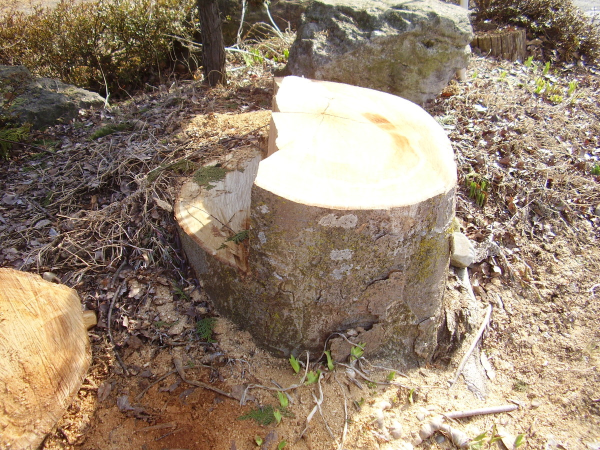 f:id:michimasa1937:20150228010420j:plain