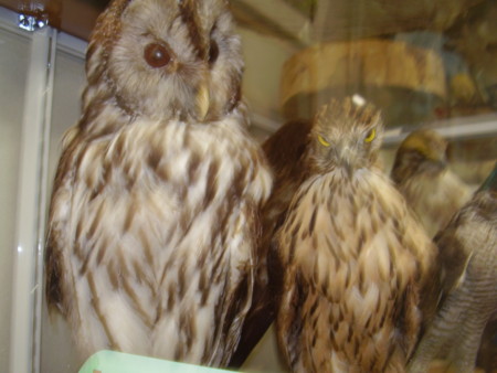 f:id:michimasa1937:20150411190744j:image:w360 f:id:michimasa1937:20150411190744j:image:w360