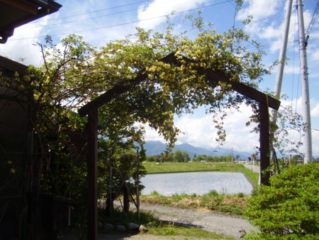 f:id:michimasa1937:20150502000322j:image:w360:left