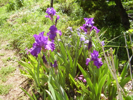 f:id:michimasa1937:20150502000529j:image:w360:right