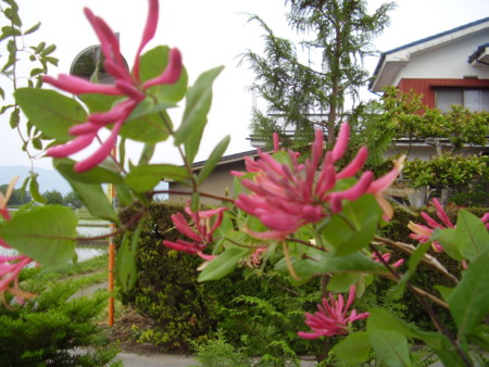 f:id:michimasa1937:20150511033311j:image:w360:right