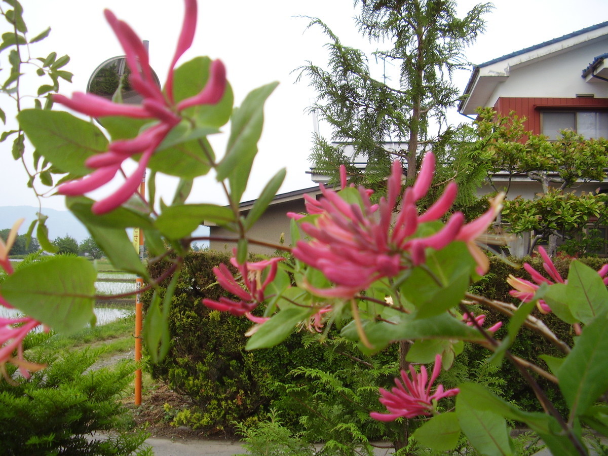 f:id:michimasa1937:20150511033312j:plain f:id:michimasa1937:20150511033312j:plain