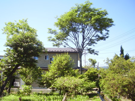 f:id:michimasa1937:20150512192938j:image:w360