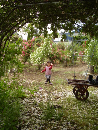 f:id:michimasa1937:20150519204845j:image:w360:left