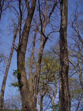 f:id:michimasa1937:20160322211910j:image:w360 f:id:michimasa1937:20160322211910j:image:w360