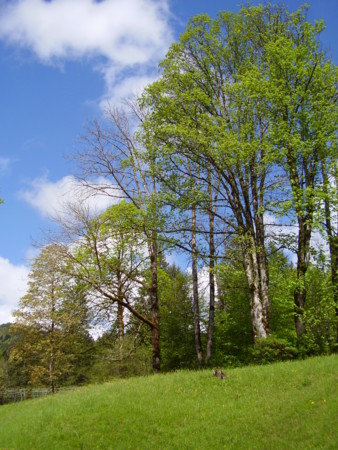 f:id:michimasa1937:20160503014631j:image:w360