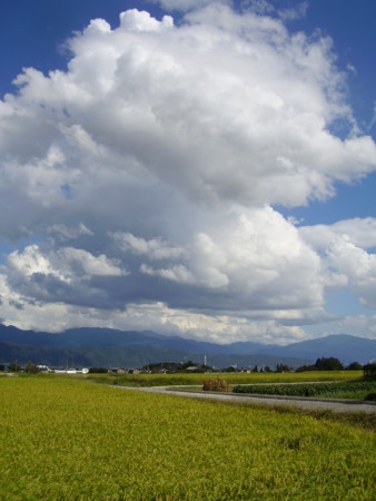 f:id:michimasa1937:20160817215115j:image:w360:right