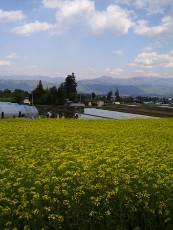 f:id:michimasa1937:20180416121753j:image:w360 f:id:michimasa1937:20180416121753j:image:w360