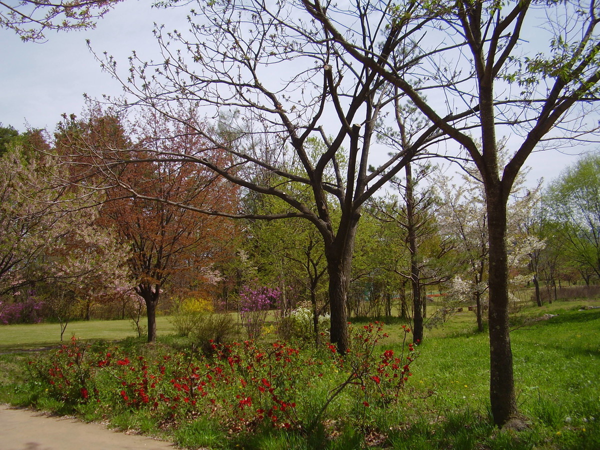 f:id:michimasa1937:20190409212005j:plain