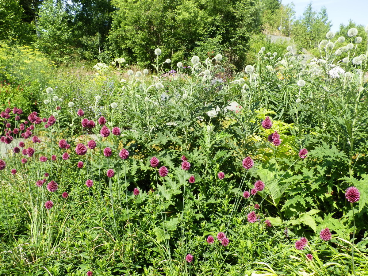 f:id:michimasa1937:20190908094544j:plain