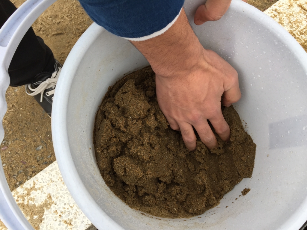 f:id:michimasagoroshi:20160401155443j:plain f:id:michimasagoroshi:20160401155443j:plain