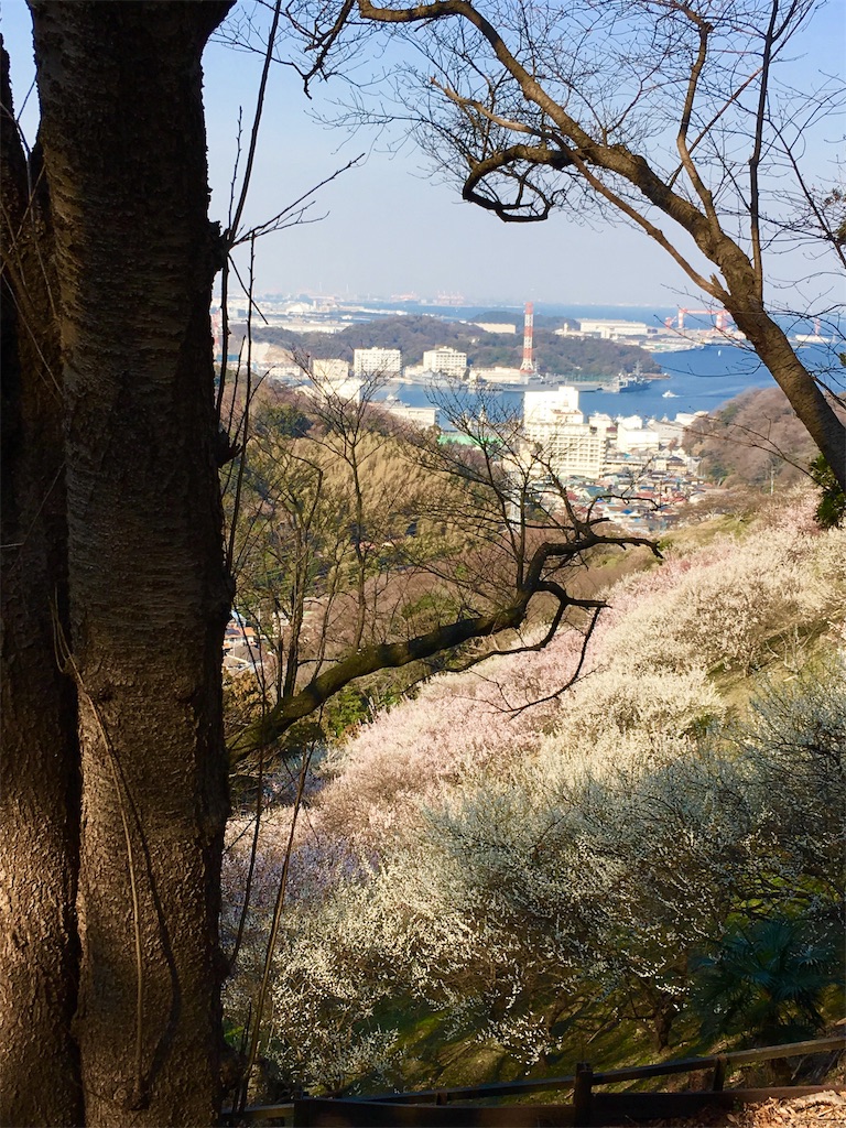 f:id:michimichi141:20190304004427j:image