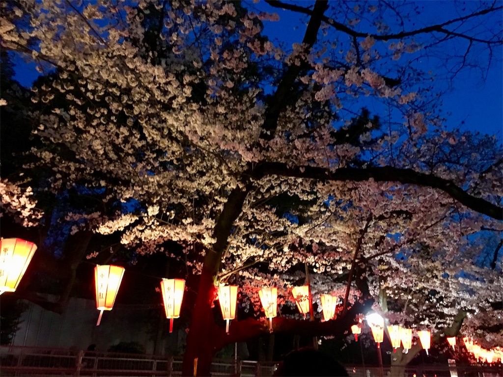 f:id:michimichi141:20190407214841j:image
