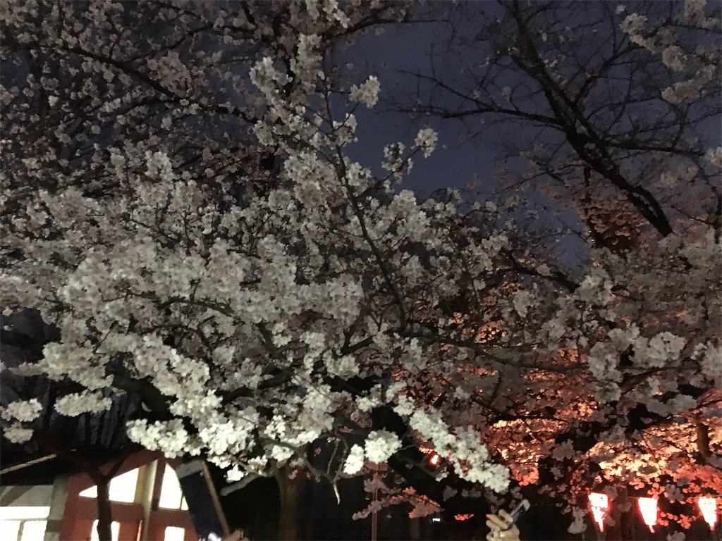 f:id:michimichi141:20190407215328j:image