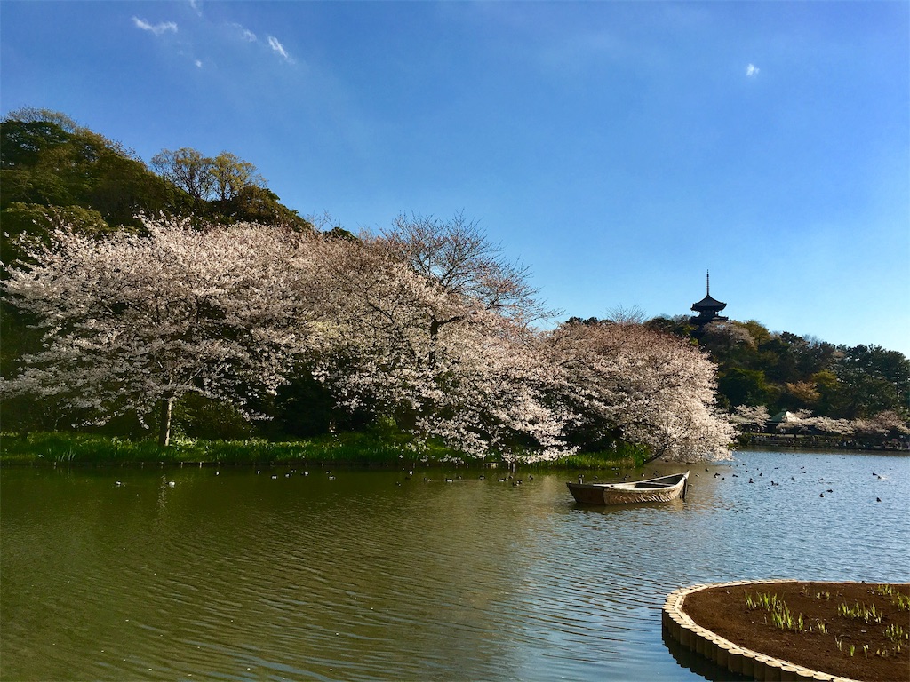 f:id:michimichi141:20190407215836j:image