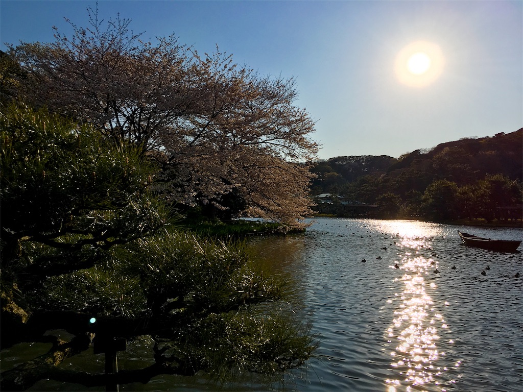 f:id:michimichi141:20190407220255j:image