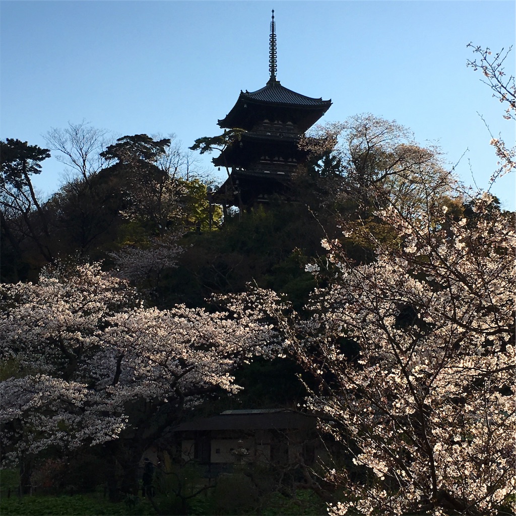 f:id:michimichi141:20190407220332j:image